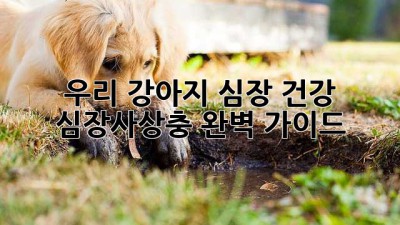 우리 강아지 심장 건강, 심장사상충 완벽 가이드