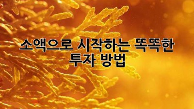 소액으로 시작하는 똑똑한 투자 방법